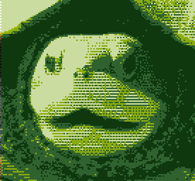 A grainy picture of the wizard Gu'up. Ugly.